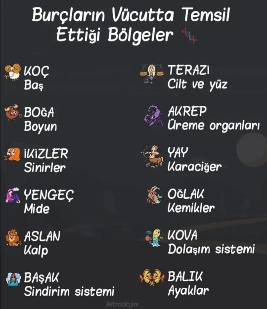 İnsan vücudunda hangi bölgeyi temsil ediyorsun?