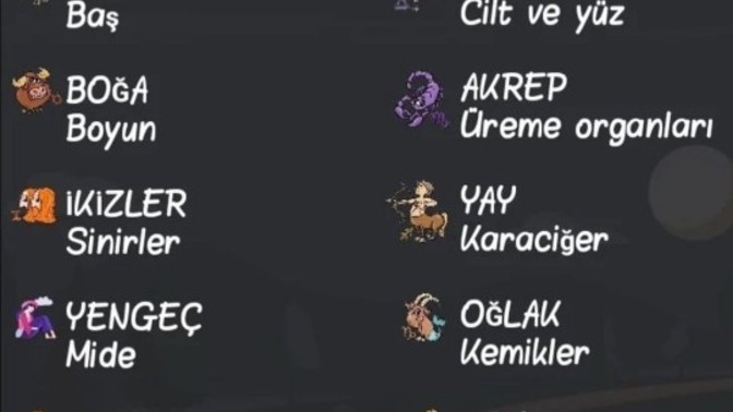 İnsan vücudunda hangi bölgeyi temsil ediyorsun?