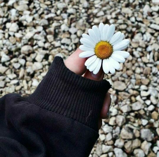 Hayatın tahmin edilemez oluşunu seviyor musunuz?
