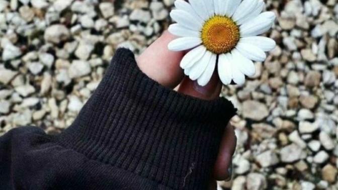 Hayatın tahmin edilemez oluşunu seviyor musunuz?