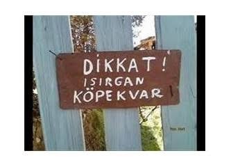 Doğup büyüdüğünüz toprağın, yerel konuşma tarzını içeren bir cümle yazar mısınız?