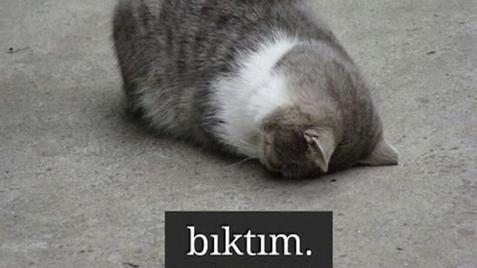 Bıktım artık dediğiniz neler var?