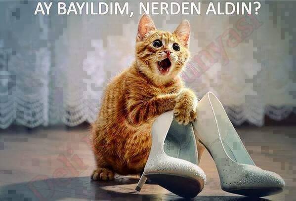 Galerimizde ki en son fotoğrafı paylaşır mısınız?