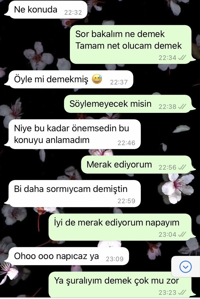 Ben tanışmak istedim net değil hiç. evlenmek için tanışmak istedim. yaşlar 28 meslekli okumuş insanlarız. ne olur bu durumlar ?
