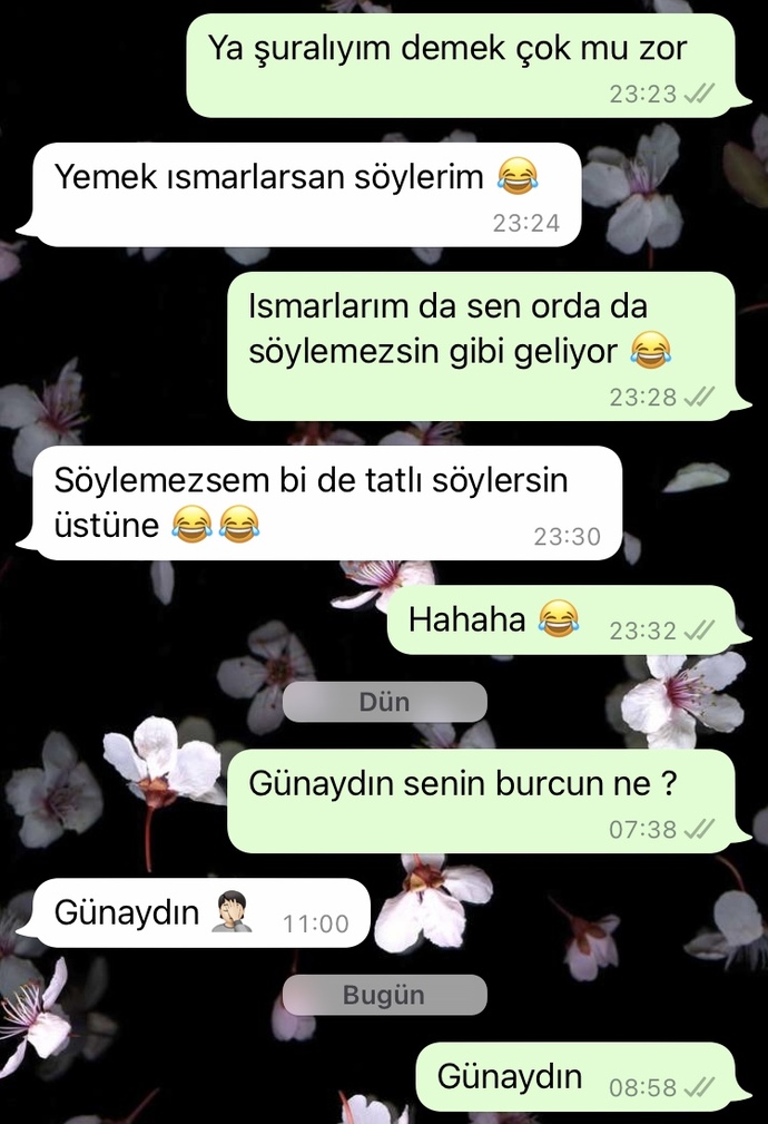 Ben tanışmak istedim net değil hiç. evlenmek için tanışmak istedim. yaşlar 28 meslekli okumuş insanlarız. ne olur bu durumlar ?