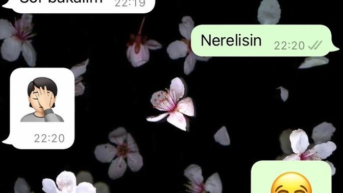 Ben tanışmak istedim net değil hiç. evlenmek için tanışmak istedim. yaşlar 28 meslekli okumuş insanlarız. ne olur bu durumlar ?