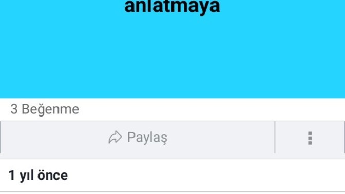 Herşeyi anlatmamak mi lazim?