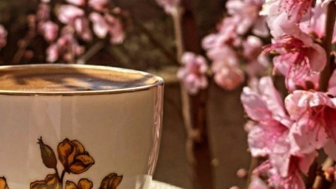 Hiç kalbinizde çiçekler açtıran birisi oldu mu?