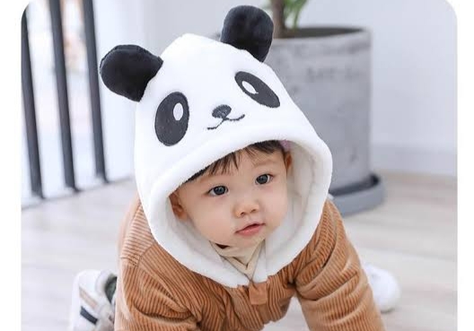 🐼🐼🐼