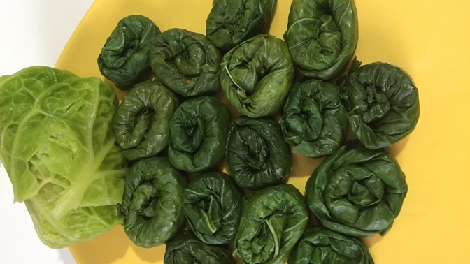 Diyet sarmalarım nasıl?