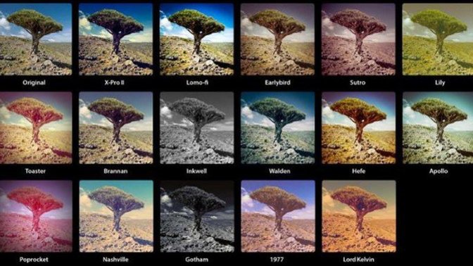 Fotoğraflarınızda filtre kullanır mısınız?