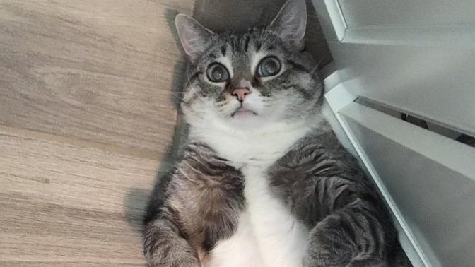 Çok yemek yedikten sonra naparsınız kolay sindirmek için?