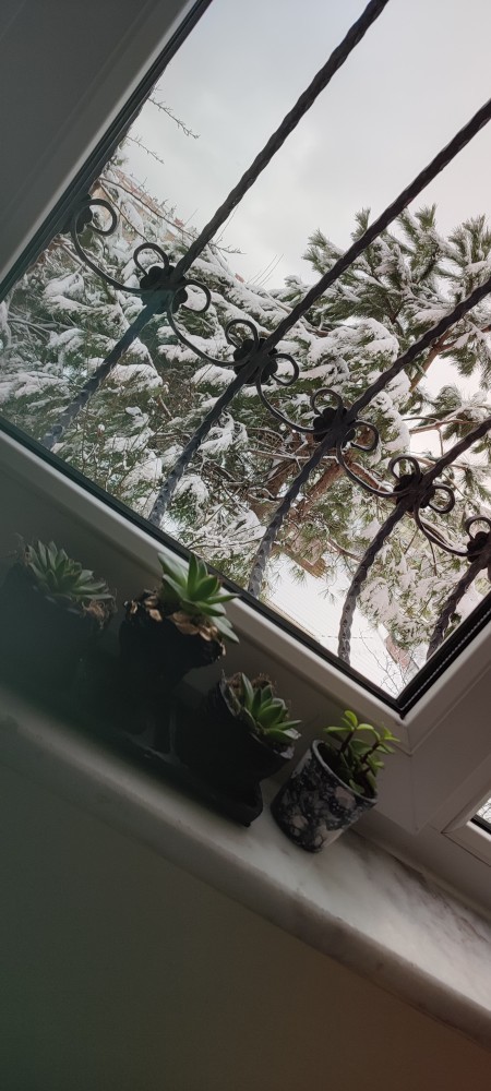 Günaydın mutlu sabahlar, sabahınıza ne eşlik ediyor 🙂?