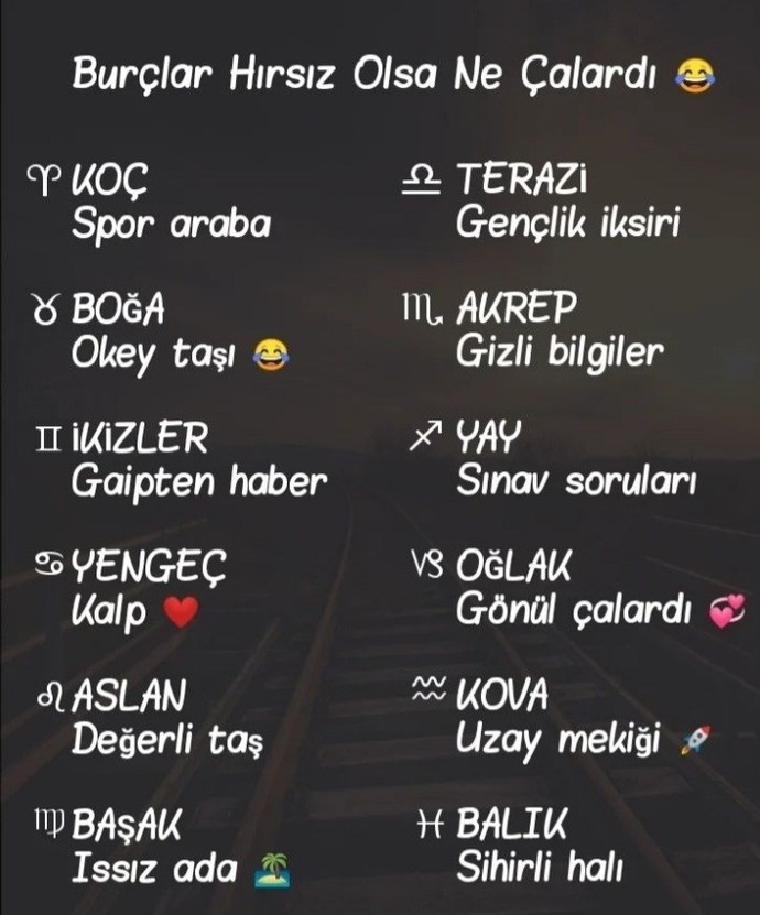Burcuna göre hırsız olsaydın ne çalardın?