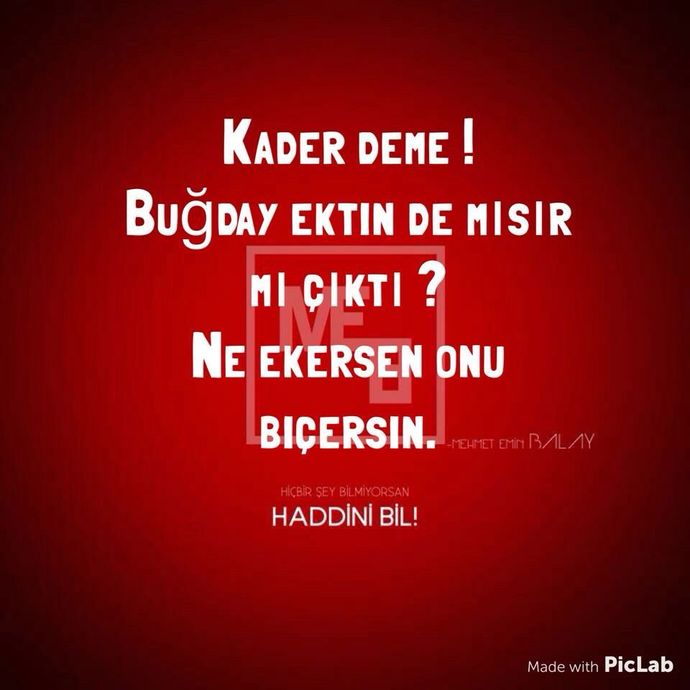 Ne ektiysen onu biçtin mi?