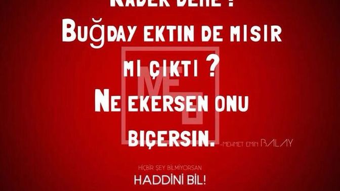 Ne ektiysen onu biçtin mi?