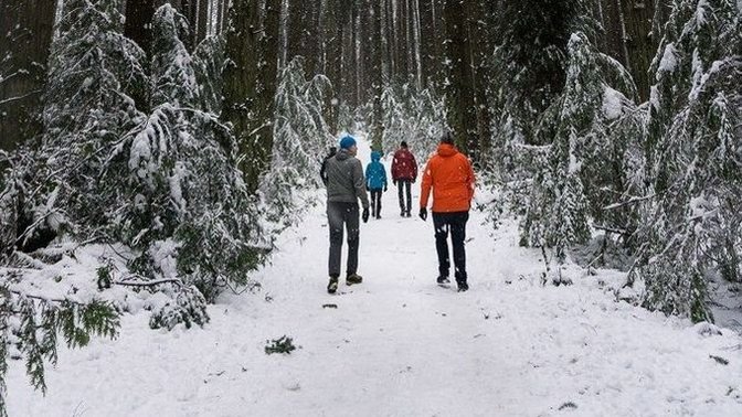 Bu karlı havada yürüyüş yapar mısınız?