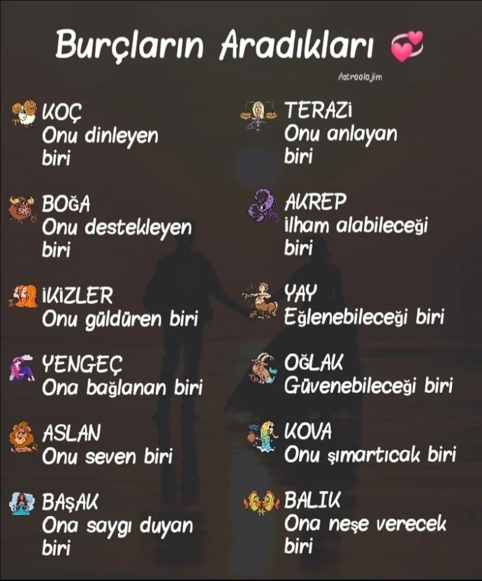 Burcuna göre senin aradığın şey nedir?