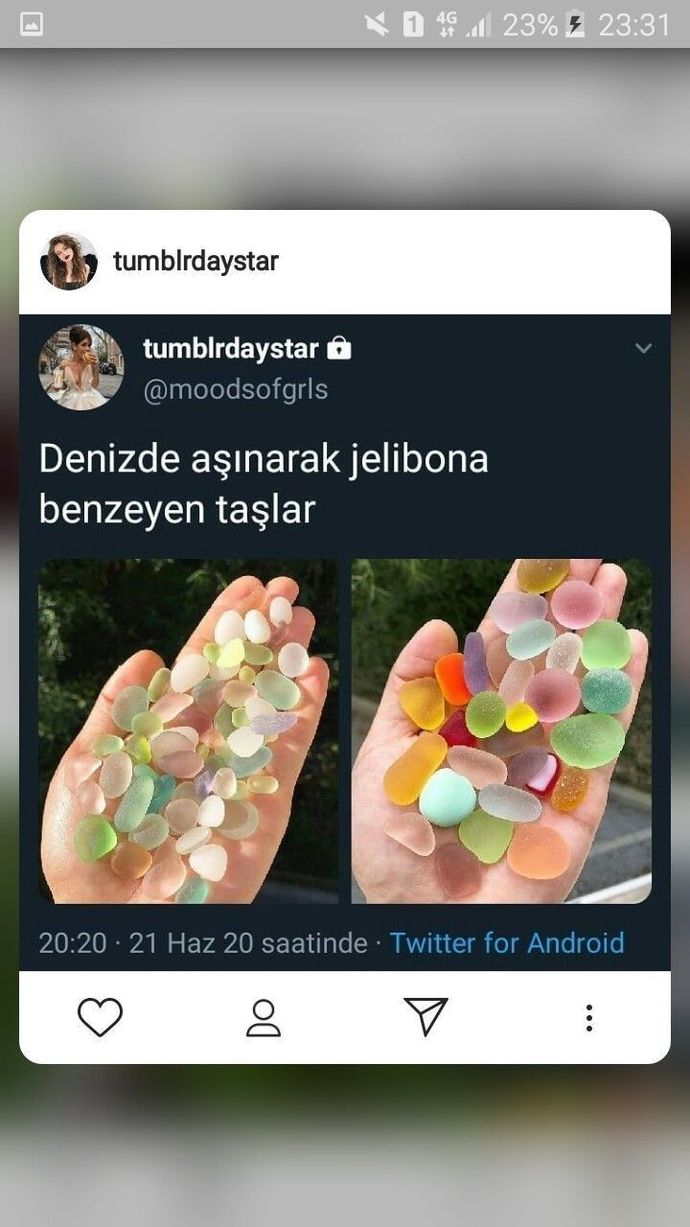 Galerinizdeki son fotoyu paylaşabilir misiniz😂?