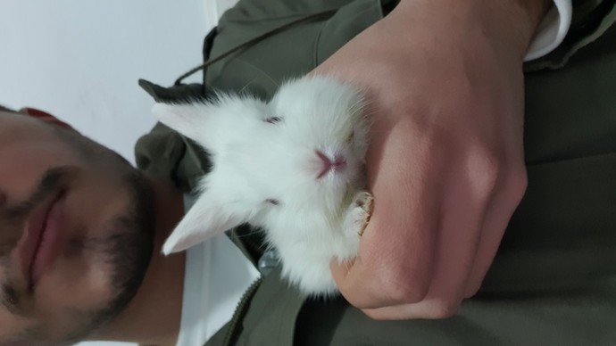 Evcil hayvanı olan erkekler çok çekici değil mi?