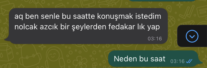 Erkek arkadaşım böyle dedi ben ders çalışıyorum diye konuşmak istemedim ama illa da bu saat diye tutturdu neden sizce?