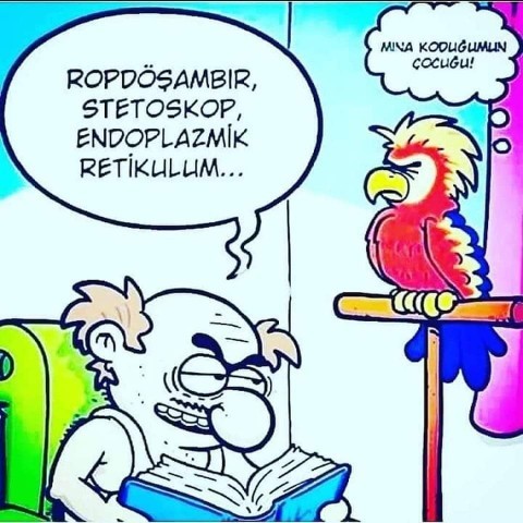Kuşunuz var mı?