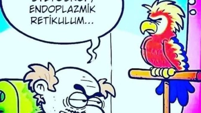 Kuşunuz var mı?
