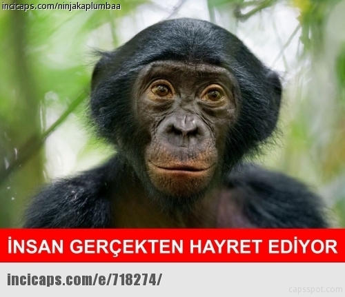 Akrep burcu kadınları hakında ne düşünüyorsunuz?