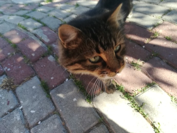 Galerinizdeki son fotoğraf nedir?