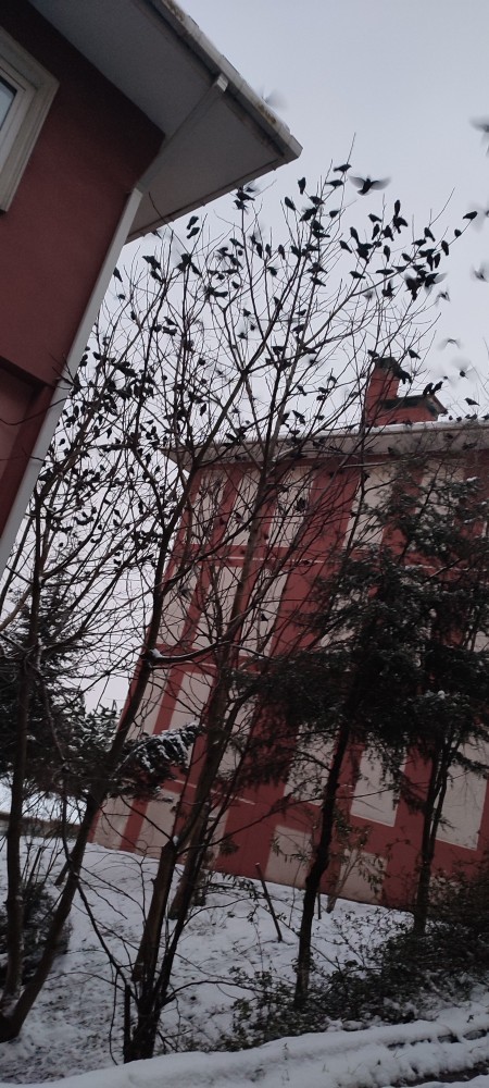 Galerinizdeki son fotoğraf nedir?
