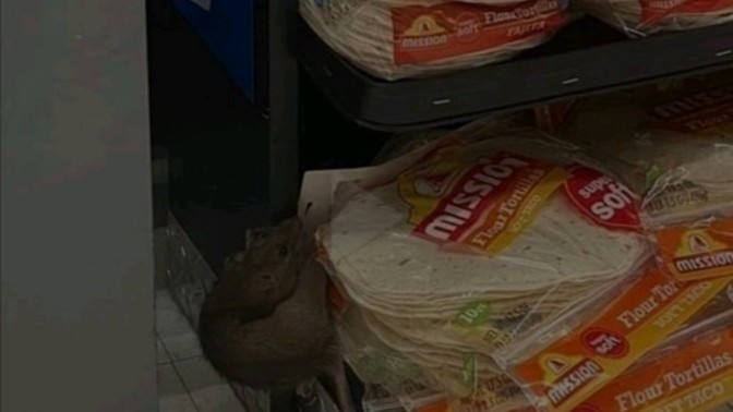 Alışveriş yaparken markette böyle bir arkadaşla karşılaştınız, ne tepki verirsiniz?