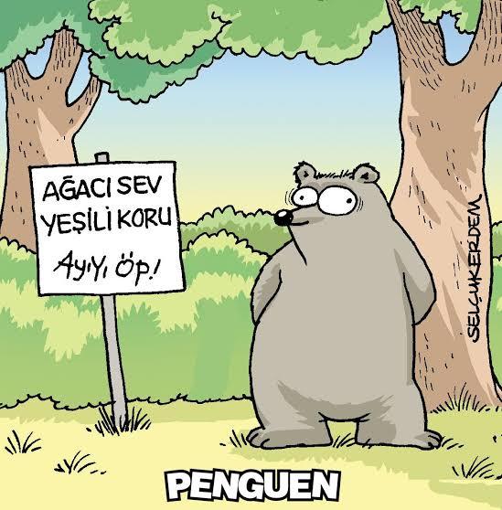 Yeşilini mi alayım kahverengini mi?