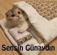 Sizin oralarda sabah oldu mu?