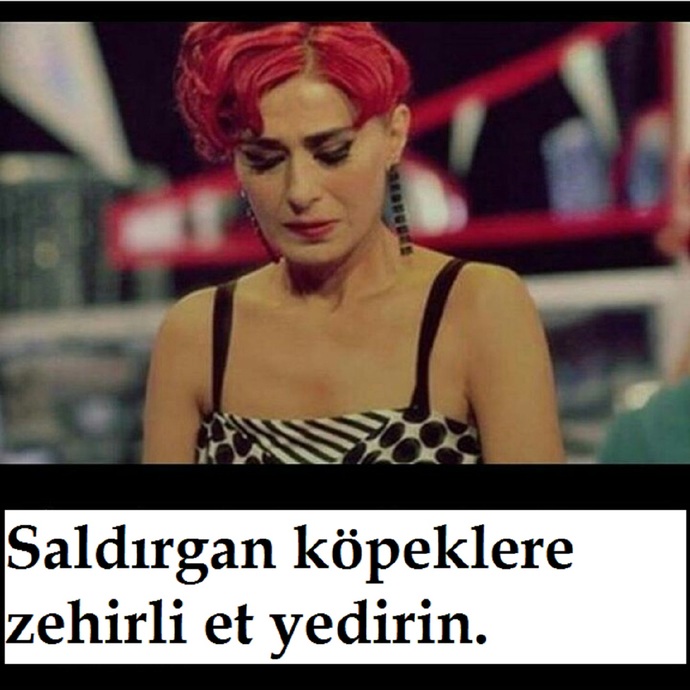 Yıldız Tilbe, Saldırgan köpeklere zehirli et verilmeli dedi! Sizce haklı mı?