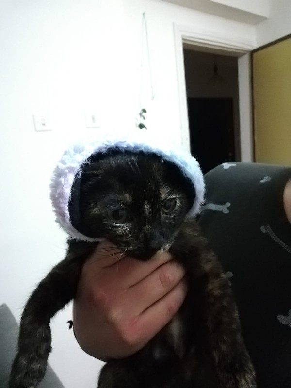 Siyah kedoşlara isim önerisinde bulunur musunuz?