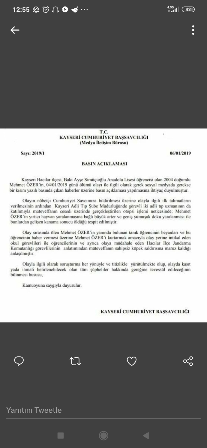 Yıldız Tilbe: Saldıran köpeklere zehirli et verilsin hepsi gebersin! Sokak köpekleri sorunu böyle mi çözülür?