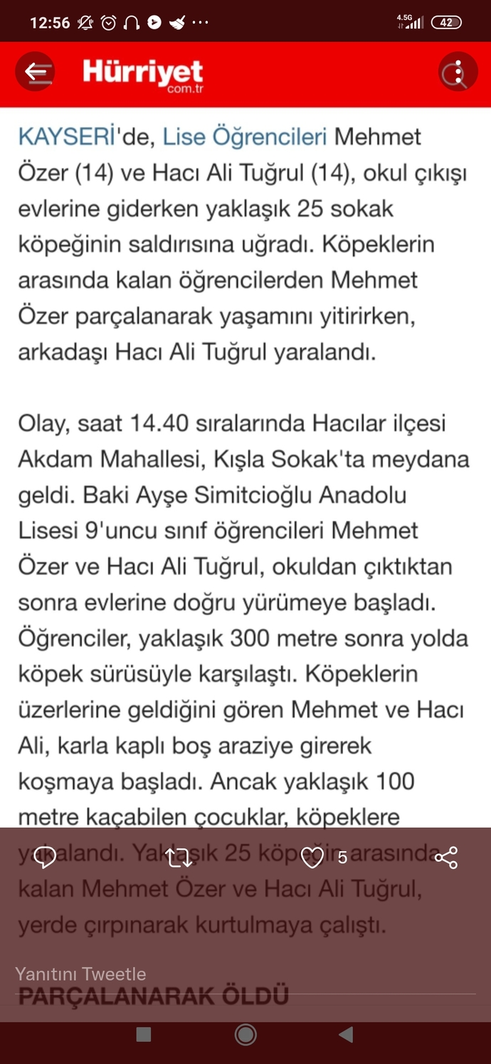 Yıldız Tilbe: Saldıran köpeklere zehirli et verilsin hepsi gebersin! Sokak köpekleri sorunu böyle mi çözülür?