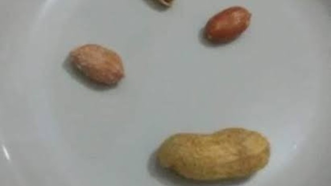 Kendime 4 tane fıstık ayarladım nasıllar akşama kopcaz?