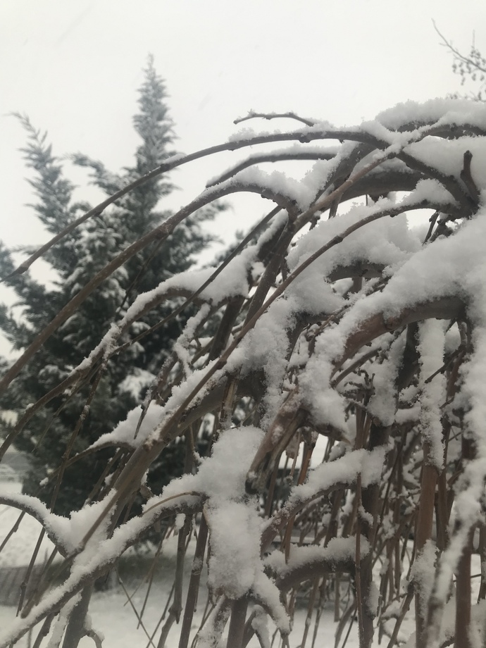Benim kar manzaram bu, ⛄ sizin kar manzaranız nasıl?