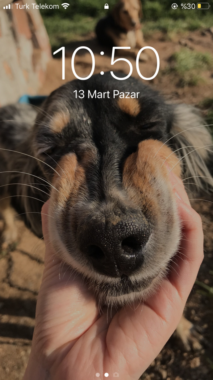 Telefon duvar kağıdınız nasıl?