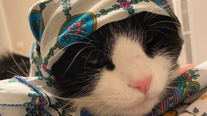 Uyanabildiniz mi ponciklerinizle beraber?
