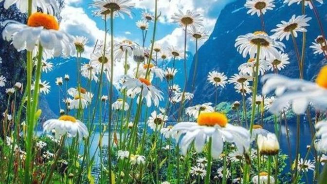 Tevacüze uğrayan kişilerin psikolojisi nasıl düzeltilebilir?