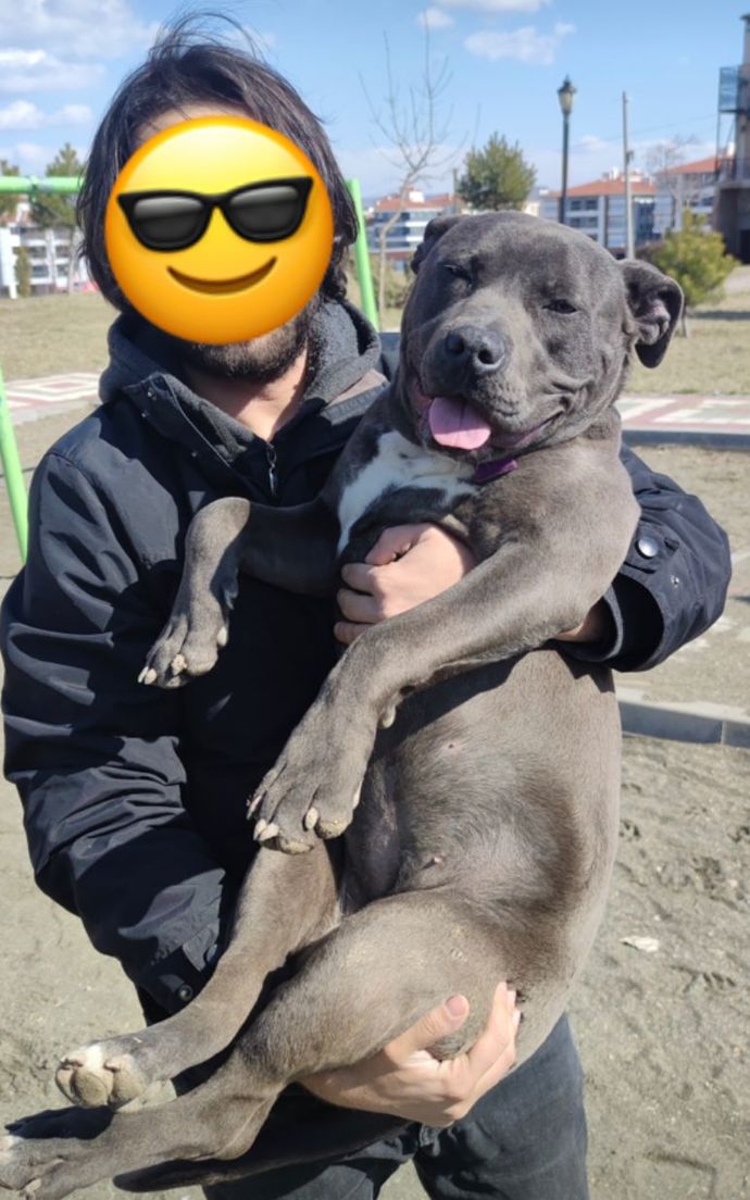 Pazar gününüzü nasıl geçirdiniz?
