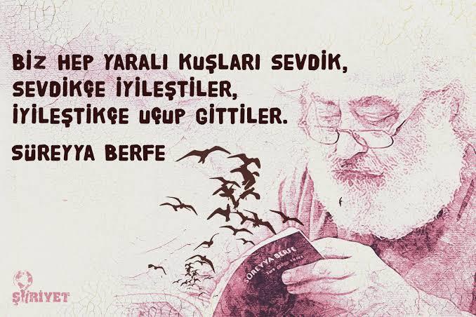 Hiç gönüllü yara bandı oldunuz mu?