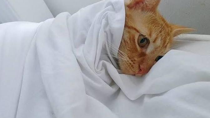 Sabah uyandığınızda hayatı sorguluyor musunuz?