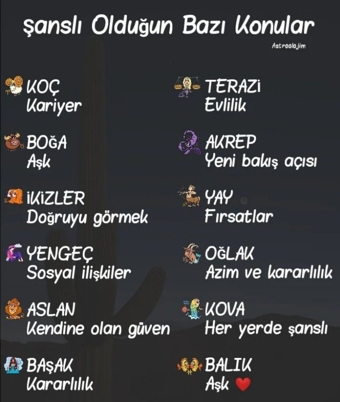 Burcuna göre şanslı olduğun konular ne?