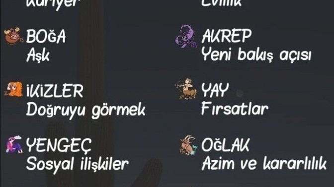 Burcuna göre şanslı olduğun konular ne?