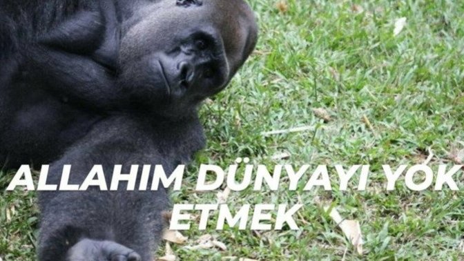 Neyi kendi başına yapamazsın?