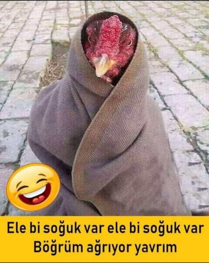 Kaç günde bir yıkanırsınız 💦?