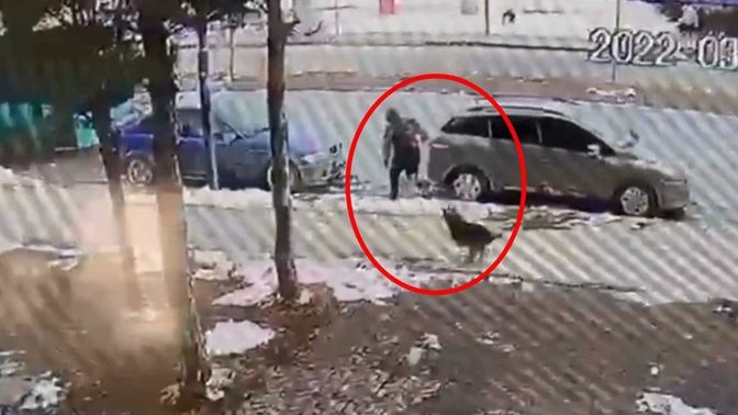 Sivas'ta, köpekten kaçan çocuğa araba çarptı. Sokak köpeklerinden korkuyor musun?